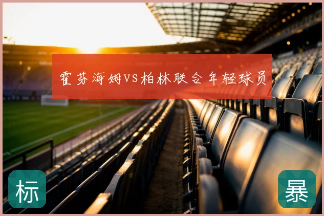 霍芬海姆vs柏林联合年轻球员