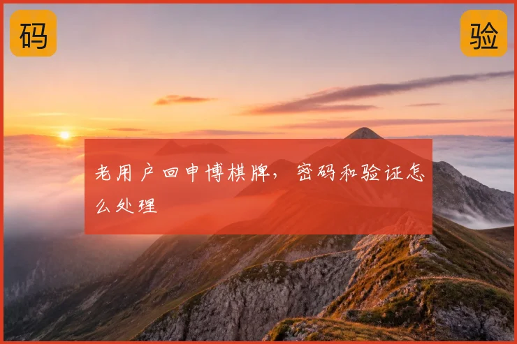 老用户回申博棋牌，密码和验证怎么处理